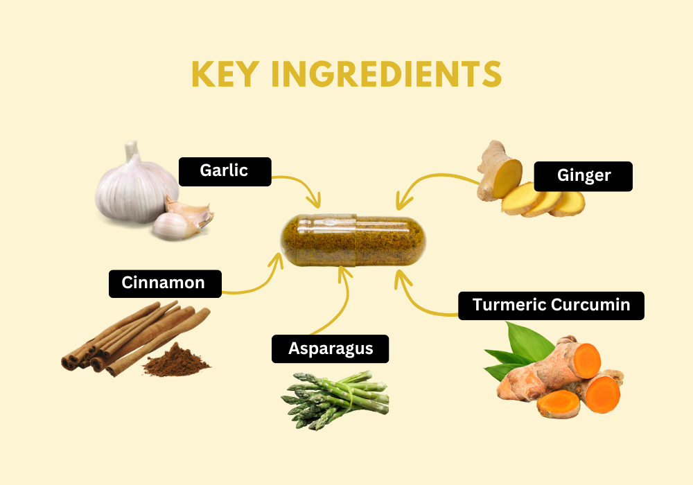 Key Ingredients